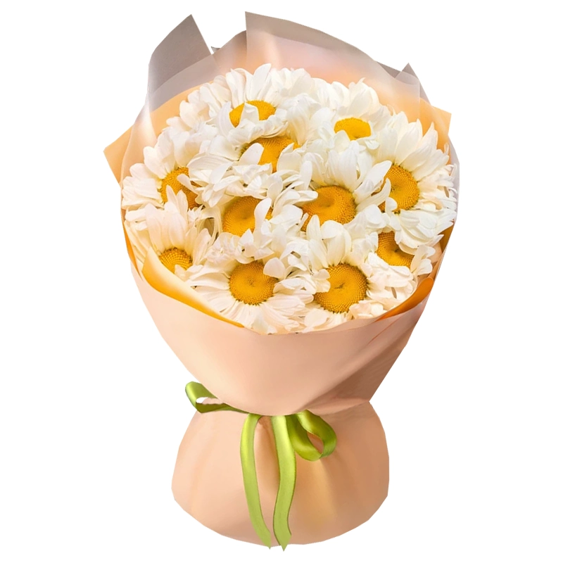 Букет из 11 ромашек