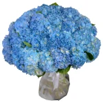 Букет из 35 синих гортензий