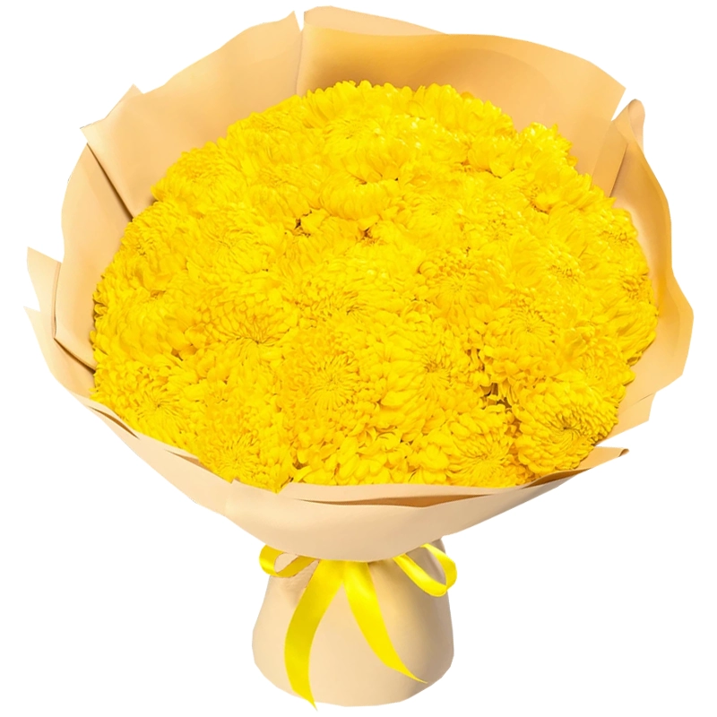 Букет из 35 желтых одноголовых хризантем