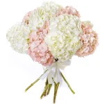 Гортензии бело-розовый микс